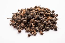 Nagarmotha Essential Oil